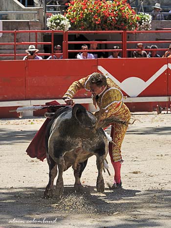 Marco Leal - Féria de Beaucaire