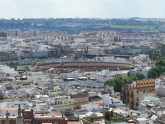 Seville 2013