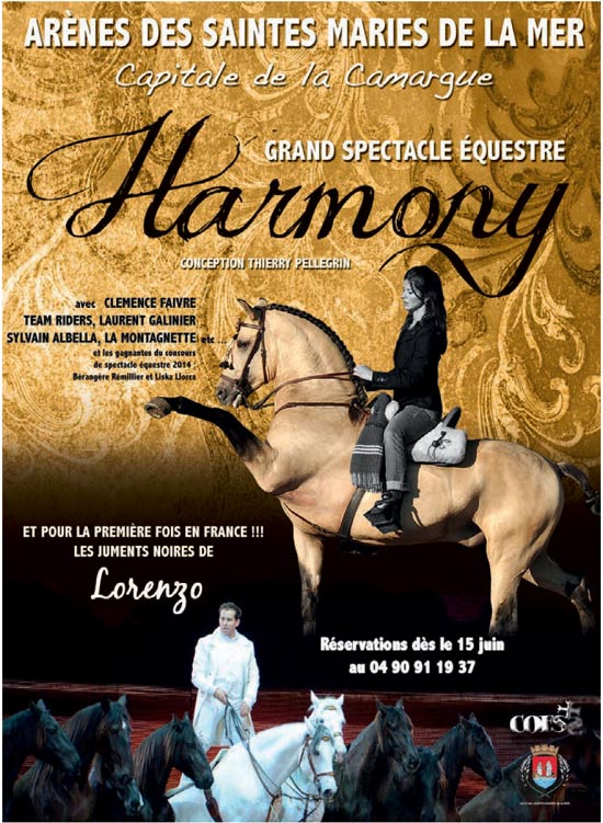 Affiche Harmony 2015