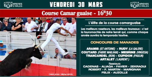 Course Camarguaise