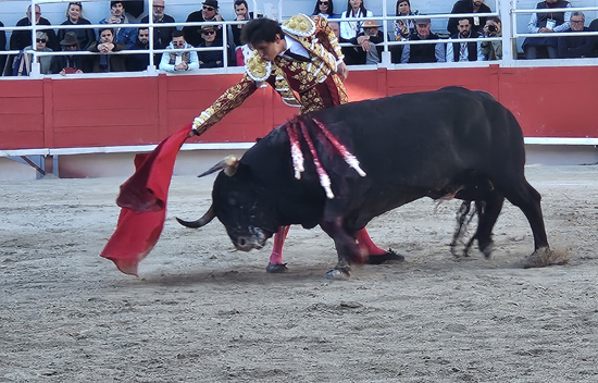 Arles 2025