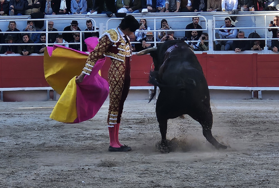 Arles 2025