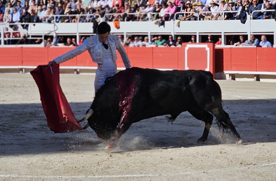 Arles 2025