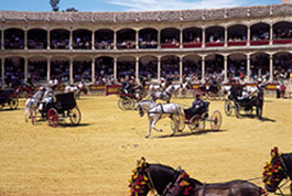 Plaza de Real Maestranza