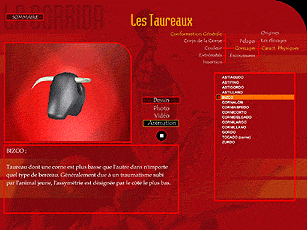 Encyclopdie de la Corrida : Les Taureaux - pour avoir plus de dtails ou commander Cliquez!