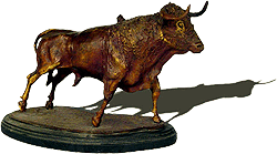 " Toro Castaño Colorado "