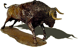 " Toro Colorado "