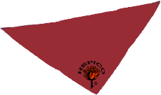 Bandana