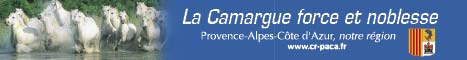 La camargue