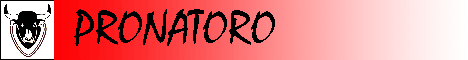Soyez originaux dans vos cadeaux !  d�couvrez les magnifiques sacs propos�s � la vente par notre partenaire Pronatoro !